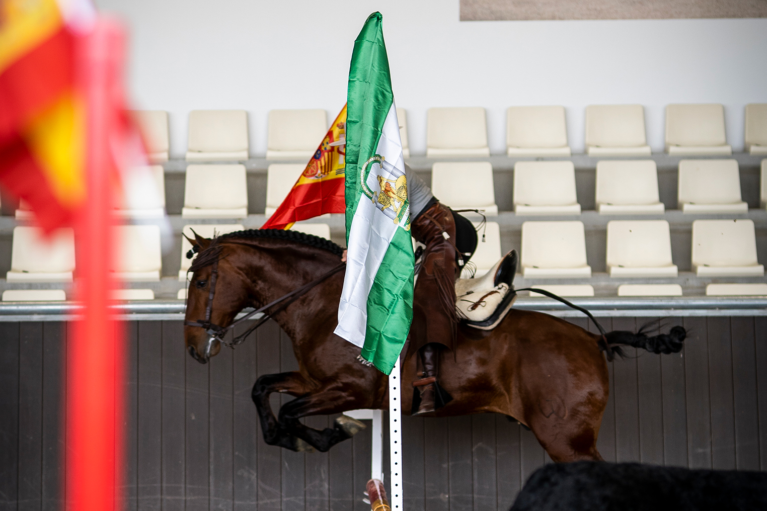 Seville Equestrian Espectacle Evenhorse